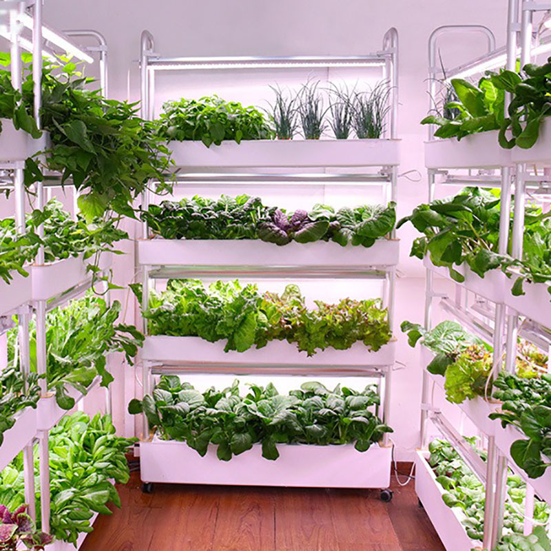 System uprawy hydroponiki Pion – Hydroponic Tower Planter recenzja i cena
