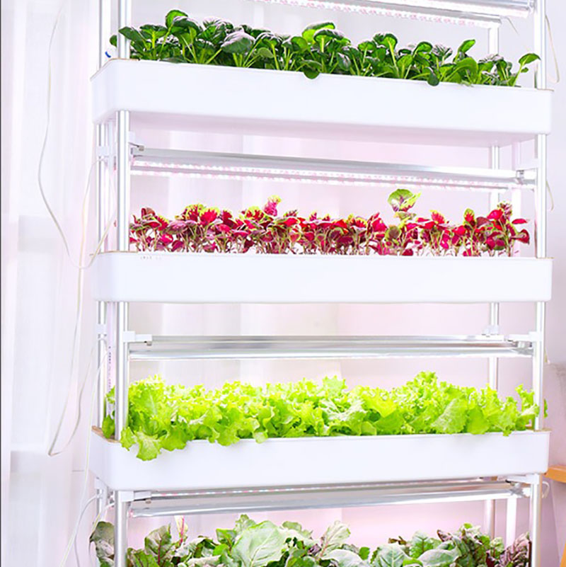 System uprawy hydroponiki Pion – Hydroponic Tower Planter recenzja i cena