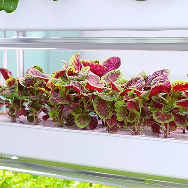 System uprawy hydroponiki Pion – Hydroponic Tower Planter recenzja i cena