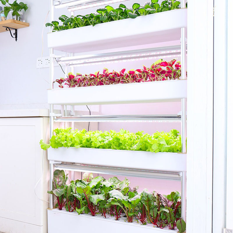 System uprawy hydroponiki Pion – Hydroponic Tower Planter recenzja i cena