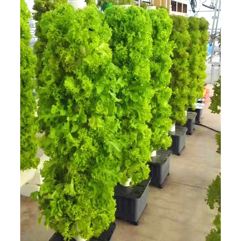 Dom Ogród Pionowa Wieża Hydrop – Hydroponic Tower Planter recenzja i cena