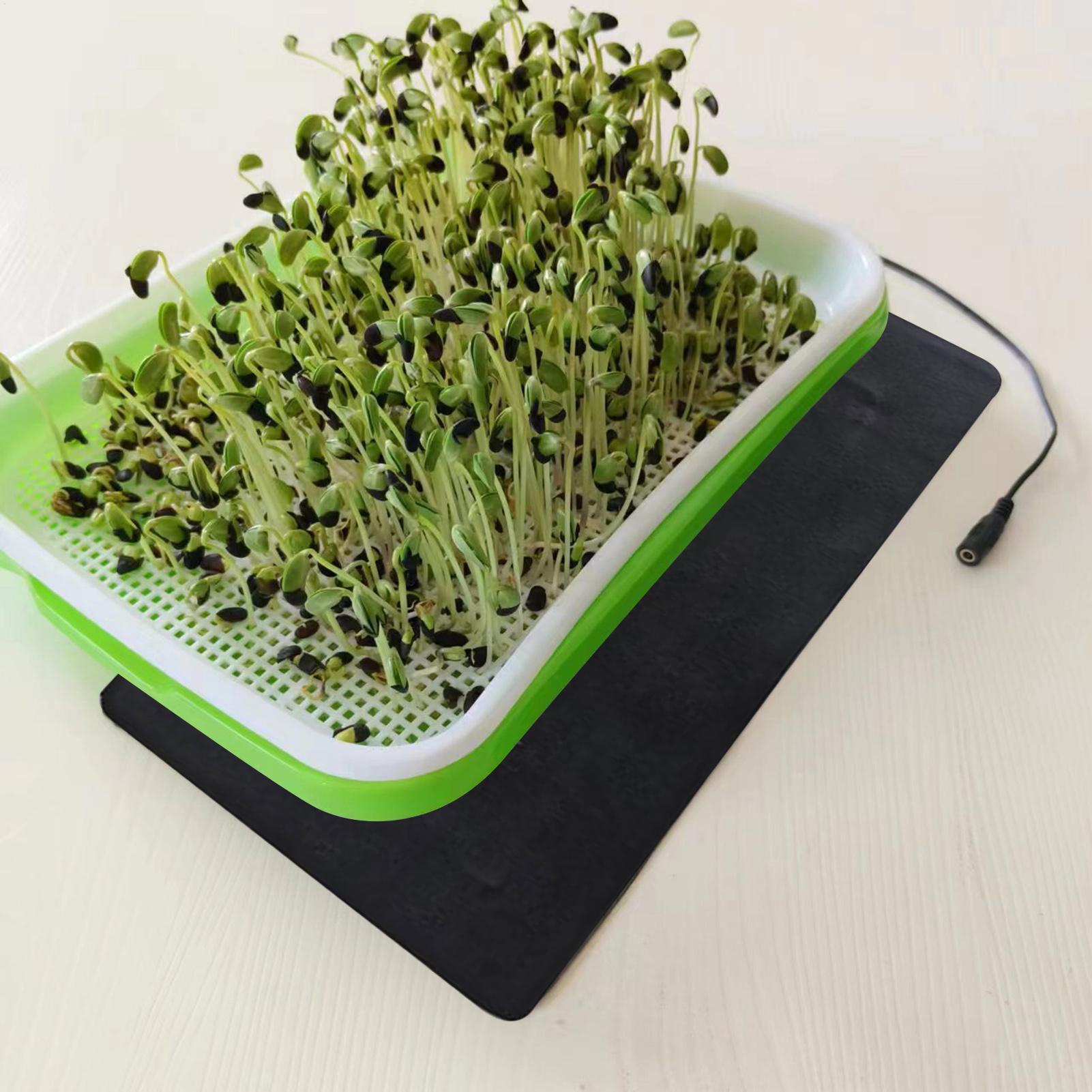 Mata grzewcza dla sadzonek 8.5 – Seedling Heat Pad recenzja i cena